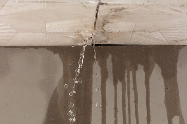 Professional Water Damage Repair technician working in Waring, TX